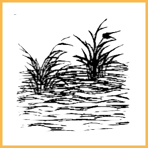 第二十象金聖嘆註解 《推背圖》/泐庵法師|李淳風袁天罡合著