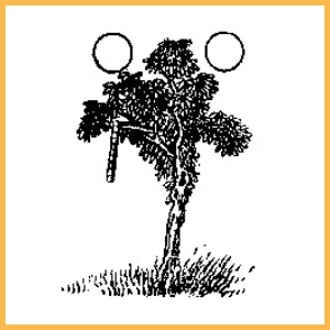 推背圖10大預言排行榜 紫微星明／寰中天子｜紫薇君《推背圖》預言集（55）